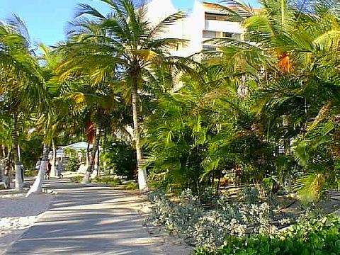 Walkway past the resort